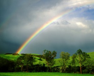 Rainbow mormon