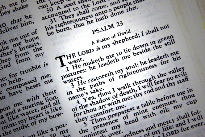 Bible Survey Reveals Uncertainty—Is the Good Book Really God’s Book?