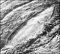Noah's Ark - Image 1
