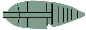 Noah 's Ark - Image 7