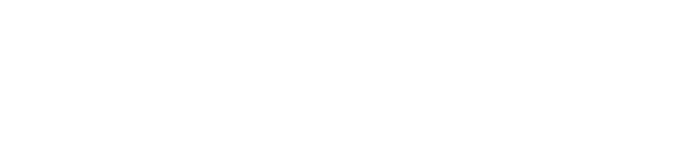 Mormon Bible