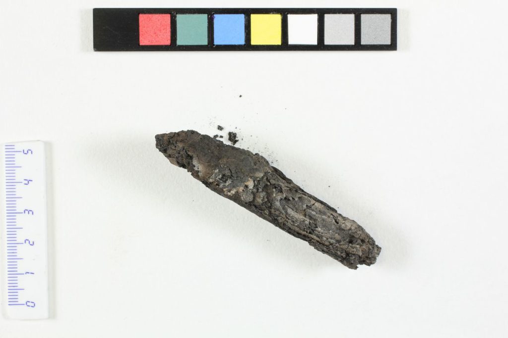 Chard Scroll from Engedi