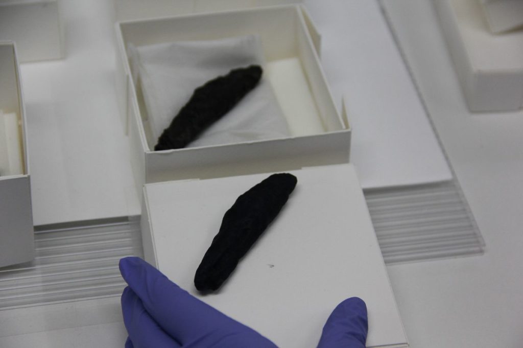 Chard Scroll from Engedi